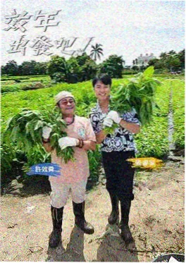 一起看影视app综艺·再见爱人4